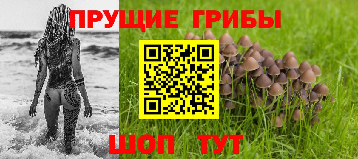 Псилоцибиновые грибы MAGIC MUSHROOMS  Вход с VPN  Тольятти  купить наркотик  Галлюциногенные грибы прущие грибы 